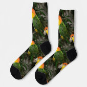 Chaussette White Bellied Caique Parrot with Bamboo Tree (Gauche)