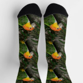 Chaussette White Bellied Caique Parrot with Bamboo Tree (Haut)