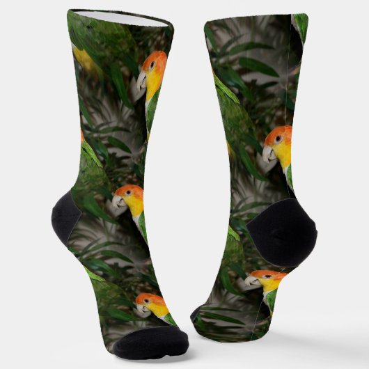Chaussette White Bellied Caique Parrot with Bamboo Tree (Angulaire)