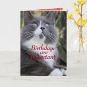 Chaussettes carte d'anniversaire de chat..- pour t (Fleur jaune)