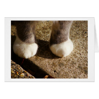 Chaussettes correspondantes