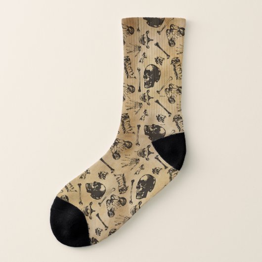 Chaussettes d'archéologie de l'anatomie osseuse (Gauche - extérieur)
