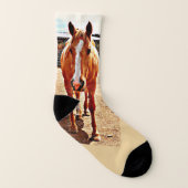 Chaussettes de cheval de palomino (Gauche intérieur)