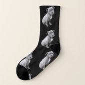 Chaussettes de chien de Pitbull (Gauche - extérieur)