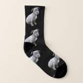 Chaussettes de chien de Pitbull (Droite extérieur)
