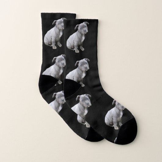 Chaussettes de chien de Pitbull (Paire)