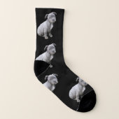 Chaussettes de chien de Pitbull (Gauche intérieur)
