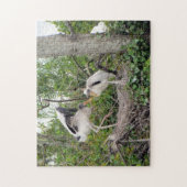 Chaussettes - Nid - Jeu - Oiseau - Puzzle (Vertical)