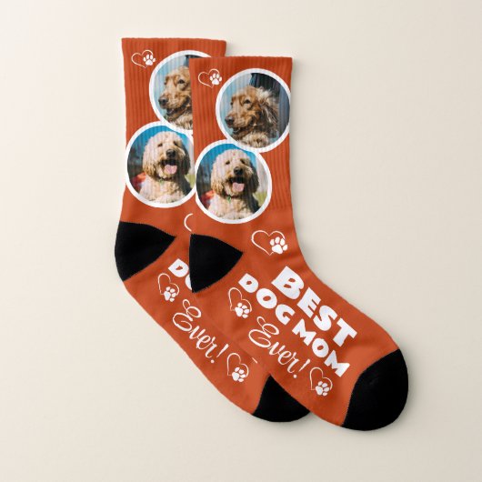 Chaussettes pour animaux de compagnie 2-Photo Meil (Paire)