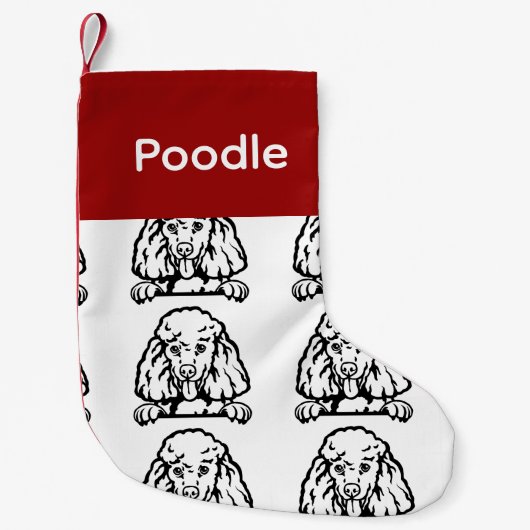 Chaussettes pour chien de caniche Chaussettes pour (Devant)