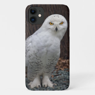 Chaussons correspondants iPhone 11 Coque