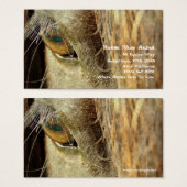 Chaussure à cheval Acres (Devant & derrière)