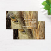 Chaussure à cheval Acres (Bureau)