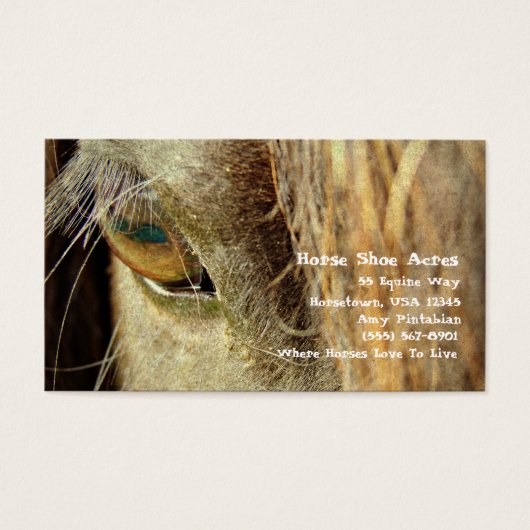 Chaussure à cheval Acres (Devant)