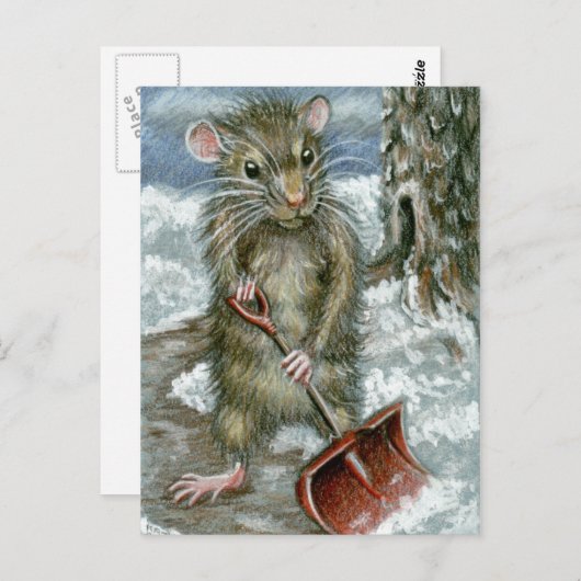 Chaussure de rat Carte postale (Devant / Derrière)