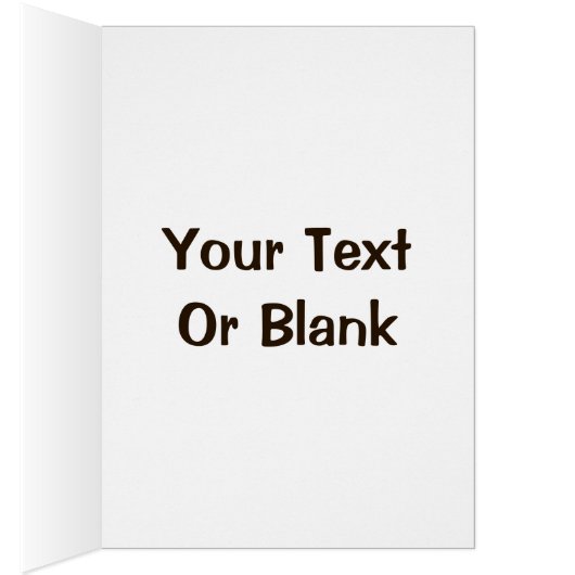 Chaussures (Intérieur (Droit))