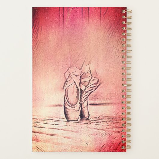 Chaussures de ballet rose à Pointe (Dos)