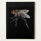 chaussures de cheval et mouche (Dos)