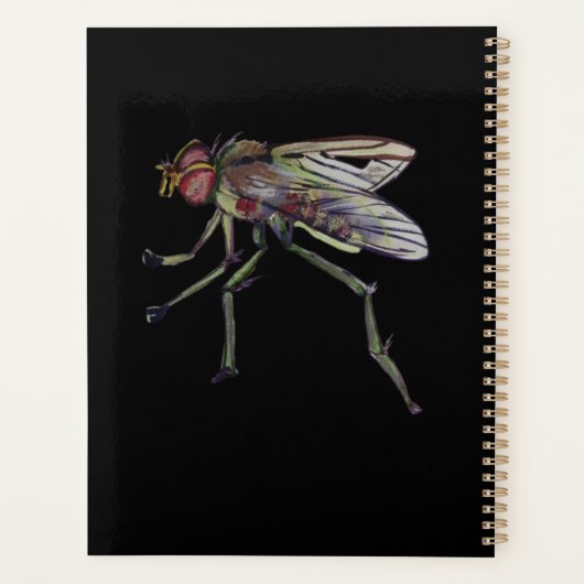 chaussures de cheval et mouche (Dos)