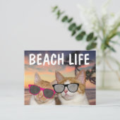 CHAUSSURES DE PLAGE CHAT FUNNY Cartes postales (Debout devant)