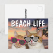 CHAUSSURES DE PLAGE CHAT FUNNY Cartes postales (Devant / Derrière)