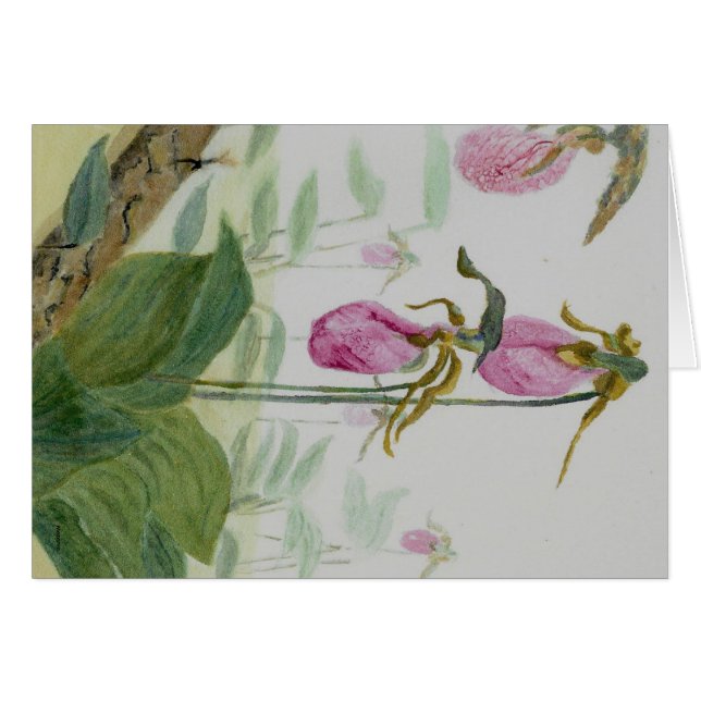 Chaussures Lady (Devant horizontal)