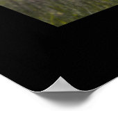 Chautauqua Park - Boulder, Colorado Poster (Hoek)