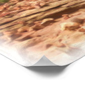 Chautauqua Park Colorado poster (Hoek)