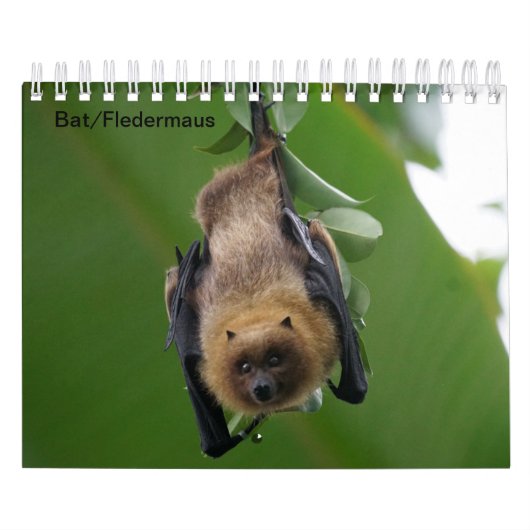 /Chauve-souris comme calendrier a demandé (Protection)