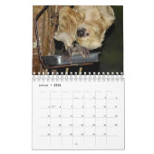 /Chauve-souris comme calendrier a demandé (Jan 2026)