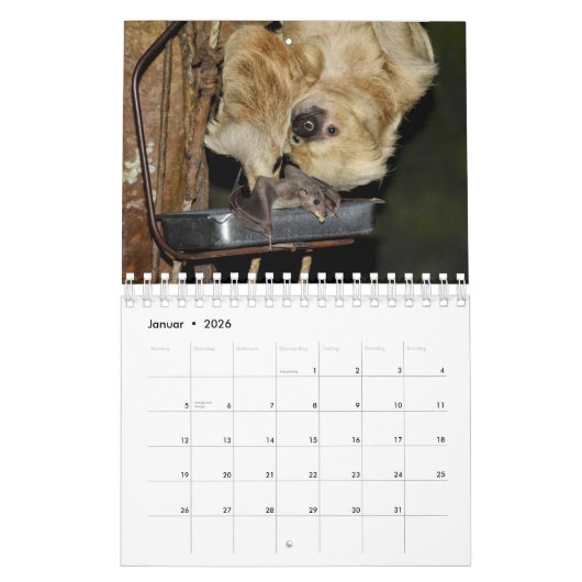 /Chauve-souris comme calendrier a demandé (Jan 2026)