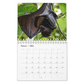 /Chauve-souris comme calendrier a demandé (Feb 2026)