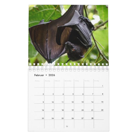 /Chauve-souris comme calendrier a demandé (Feb 2026)