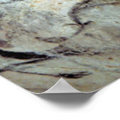 Chauvet Cave Horses Poster (Hoek)