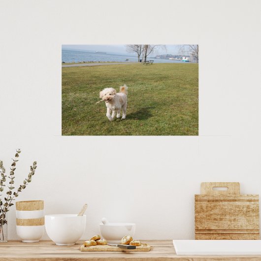 chaz1 poster (Keuken)