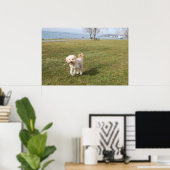 chaz1 poster (Thuiskantoor)