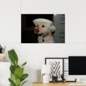 chaz6 poster (Thuiskantoor)