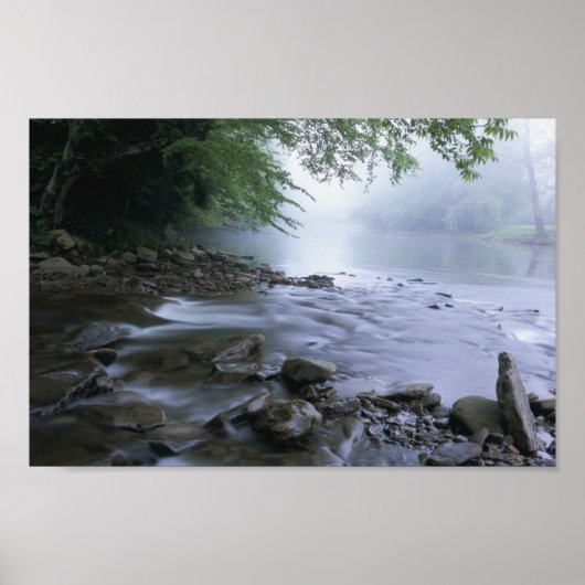 Cheat River in West-Virginia Poster (Voorkant)