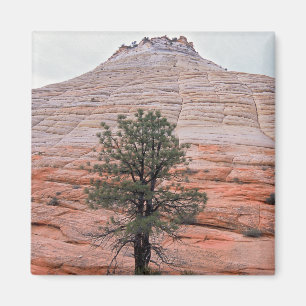 Checkerboard Mesa Magneet