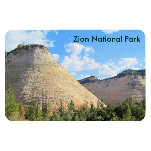 Checkerboard Mesa Magneet (Horizontaal)