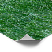 Checking it Out Poster (Hoek)