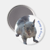 Cheekeekhoorn Fridge Magnet Magneet (Voorkant / Achterkant)