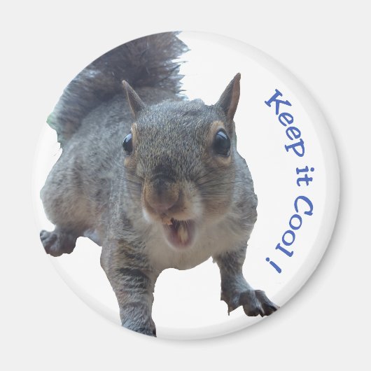 Cheekeekhoorn Fridge Magnet Magneet (Voorkant)