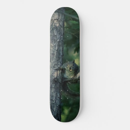 Cheekeekhoorn Skateboard (Voorkant)
