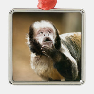 Cheeky & attent baby capuchin-aap metalen ornament