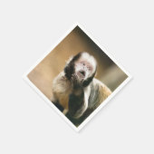 Cheeky & attent baby capuchin-aap servet (Hoek)