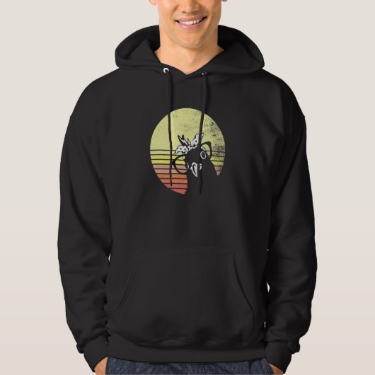 Cheeky Chicken Retro Sunset Sunglasses Hoodie (Voorkant)