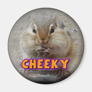 Cheeky Chipmunk Magnet Magneet
