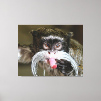 Cheeky Emperor Tamarin Monkey Canvas Afdruk