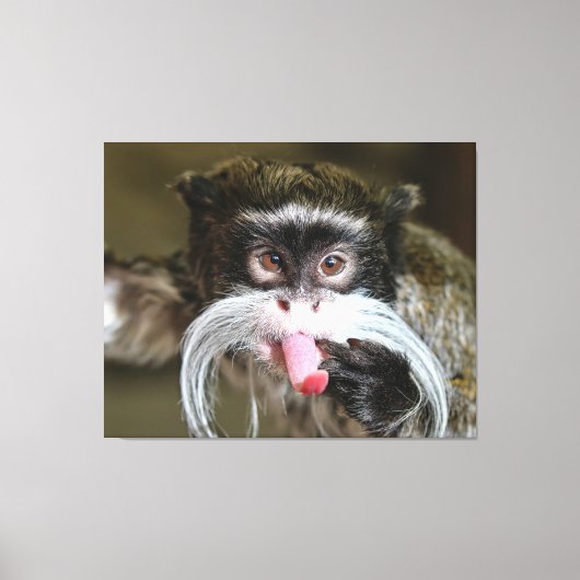 Cheeky Emperor Tamarin Monkey Canvas Afdruk (Voorkant)